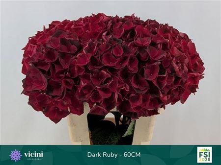 <h4>Hydr M Mag Dark Ruby</h4>