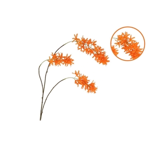 Silk Wisteria Orange 93cm Nm