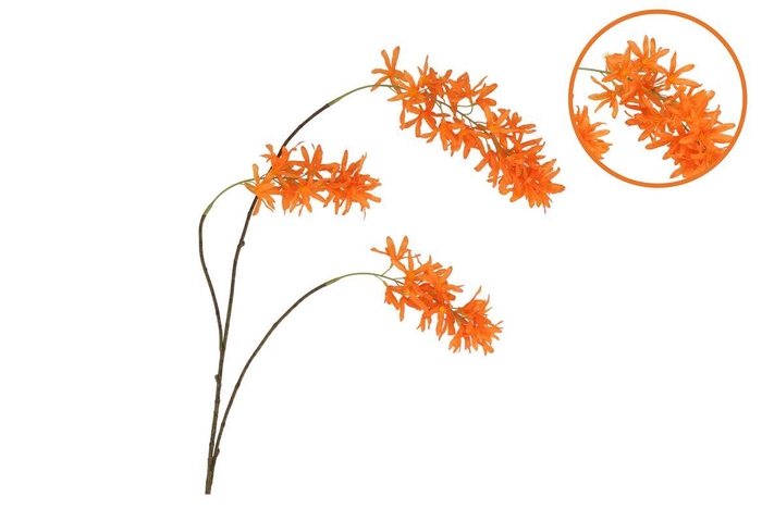 <h4>Silk Wisteria Orange 93cm Nm</h4>