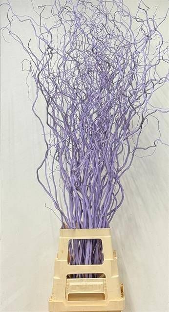 <h4>SALIX OV KLB H%</h4>