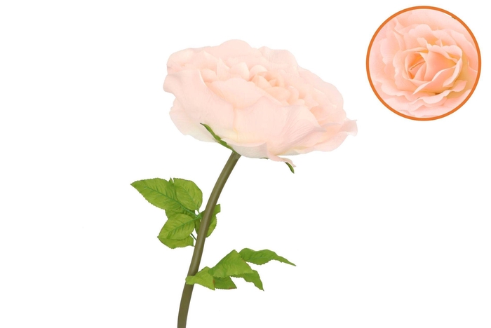 Silk Amazing Rose Beauty Peach Xxl 50x120cm