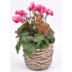 Wilg mand grijs 12cm
