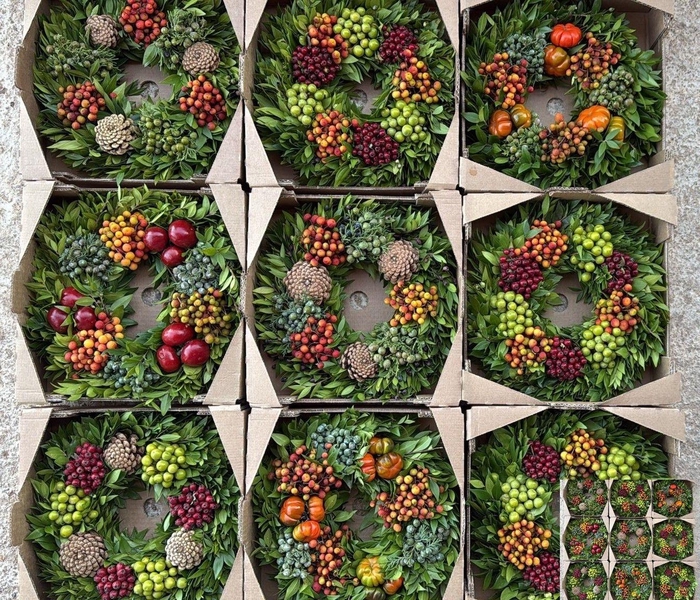 <h4>SIERFRUIT KRANS H%</h4>