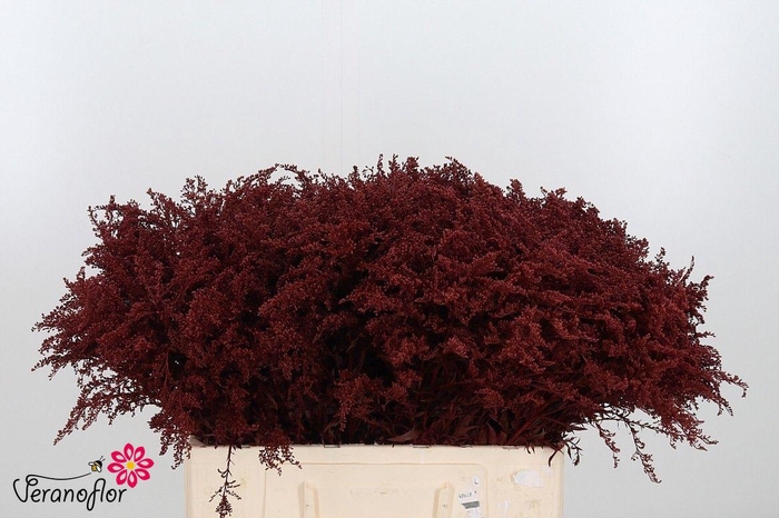 <h4>SOLI OV KLB H%</h4>