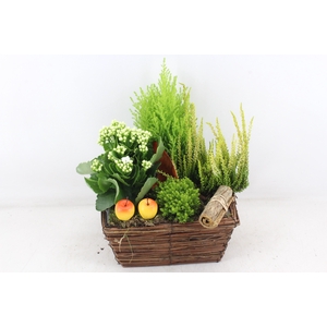 arr4 Outdoor VL - Riet mand 4kant