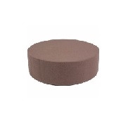 <h4>Oasis Bio Cylinder 8*5cm</h4>