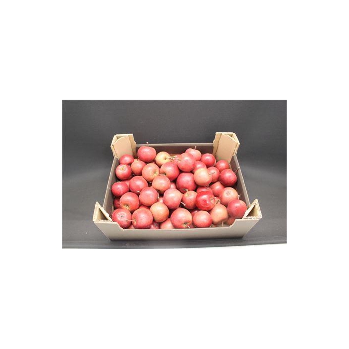 <h4>F Appel Rood 5kg</h4>