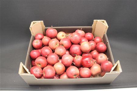 F Appel Rood 5kg