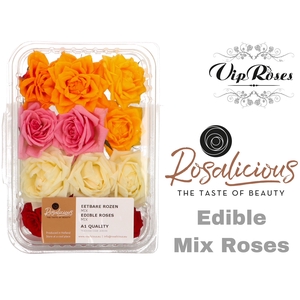 ZR EDIBLE ROSALICIOUS  RAINBOW