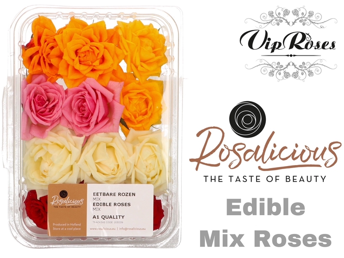 ZR EDIBLE ROSALICIOUS  RAINBOW