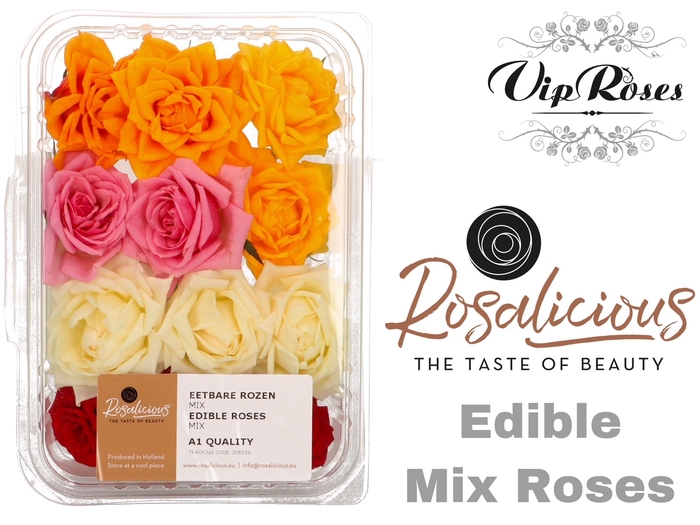 <h4>ZS R EDIBLE ROSALICIOUS  RAINBOW</h4>