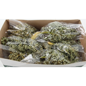 Dadels Phx Per Kilo