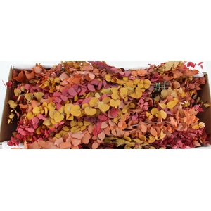 PF EUC STUART AUTUMN BS 150GR