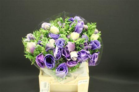 <h4>Anem Z Mistral Lichtblauw</h4>