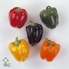 Pepers Paprika Green P Bunch