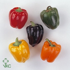 Pepers Rond Green Pbs