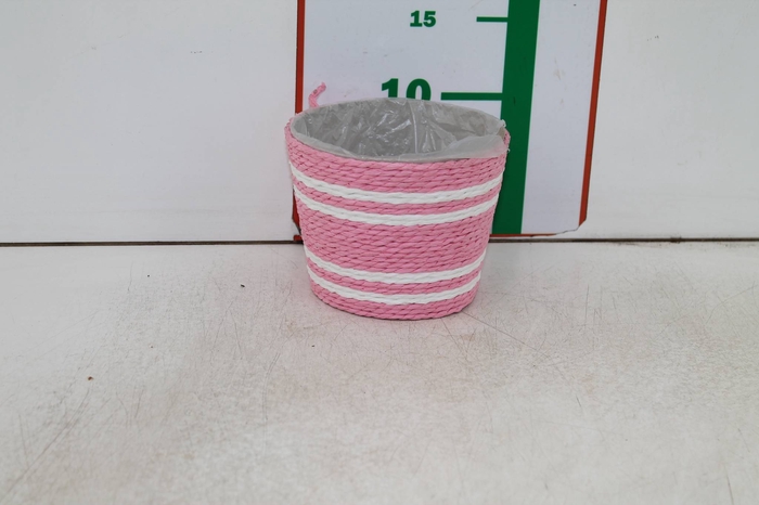 MAND PINK B 12 X H 10
