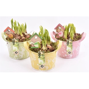 Zink schaal decor mix kl 15.5cm