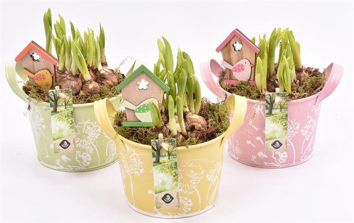 <h4>Zink schaal decor mix kl 15.5cm</h4>