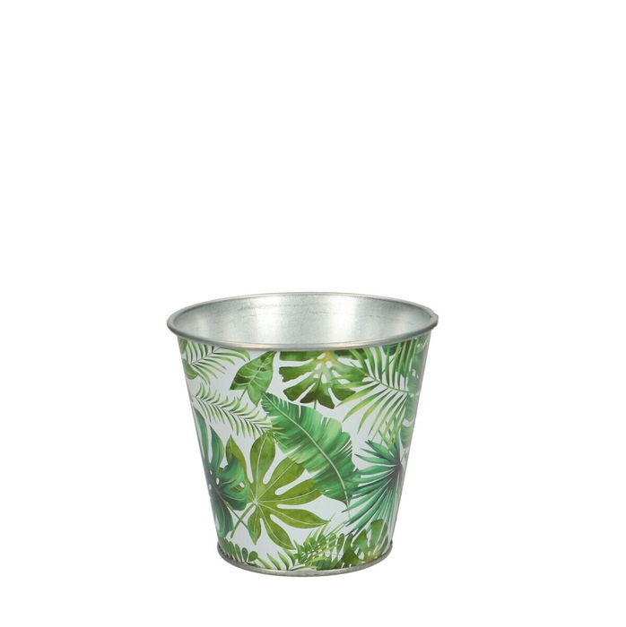 <h4>Promo Urban pot d11*10cm</h4>