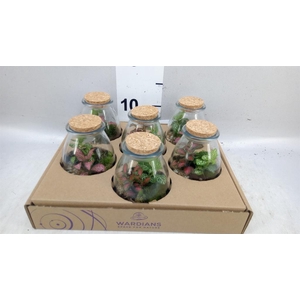 Arr.   Kamerplant Groen H%