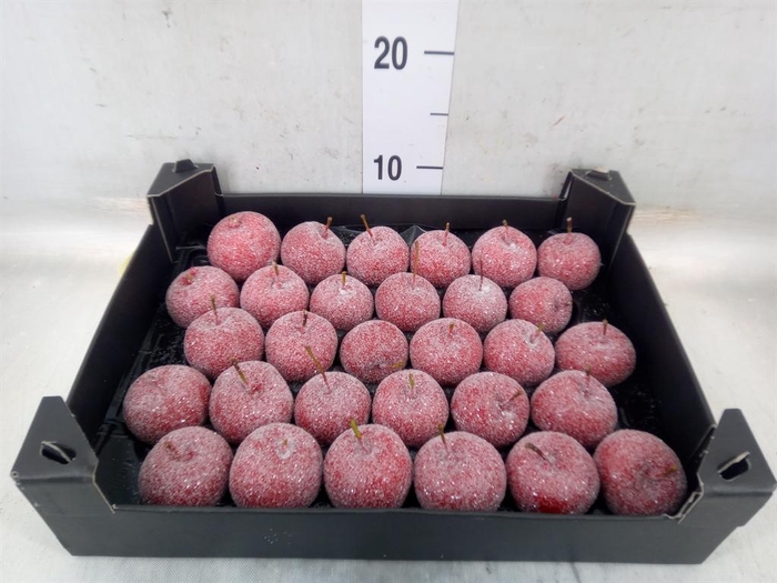 <h4>Decoratieve materialen   ...H%</h4>