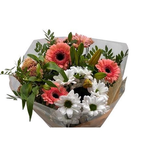BQ 142 LISANNE PEACH (10 STEMS)