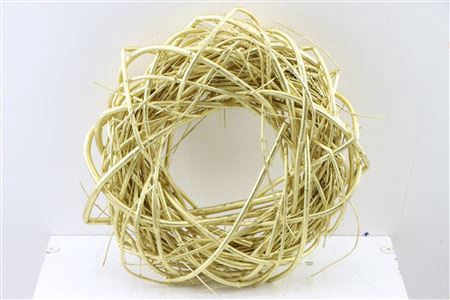 <h4>Wr Cornus 40cm Gold</h4>