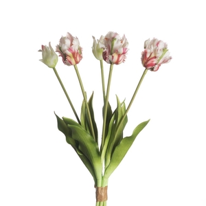 AF Tulip Parrot x5 L40cm Pi/Gr