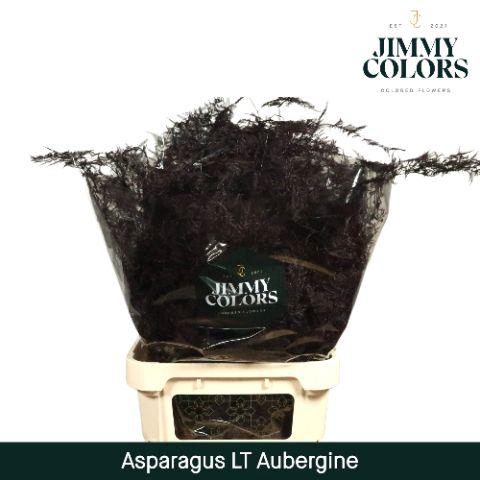 <h4>Aspa lang getopt Aubergine</h4>