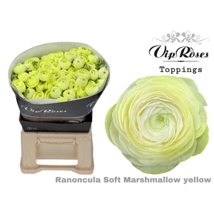 Ran Soft Marshmallow Yellow X30