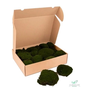 BOLMOS PRESERVED MOSGROEN