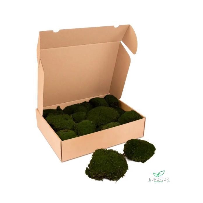 <h4>BOLMOS PRESERVED MOSGROEN</h4>