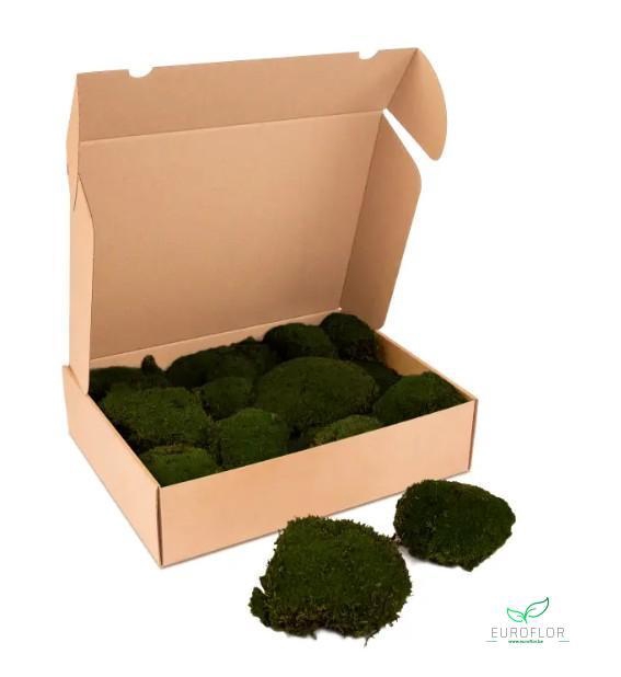 BOLMOS PRESERVED MOSGROEN