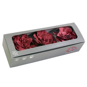 Gardenia Cranberry Per 3