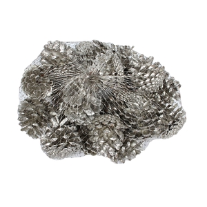 Pine cone 500gr in net Platina