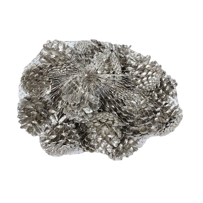 <h4>Pine cone 500gr in net Platina</h4>