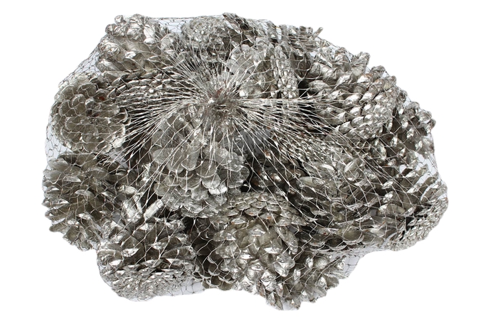 Pine cone 500gr in net Platina