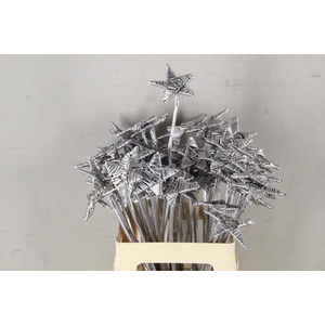 Stick Lata Star Silver Flat