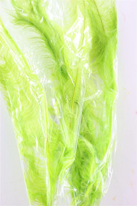 <h4>Basic Ostrich Feathers 55cm 5 Pcs Lime Green</h4>