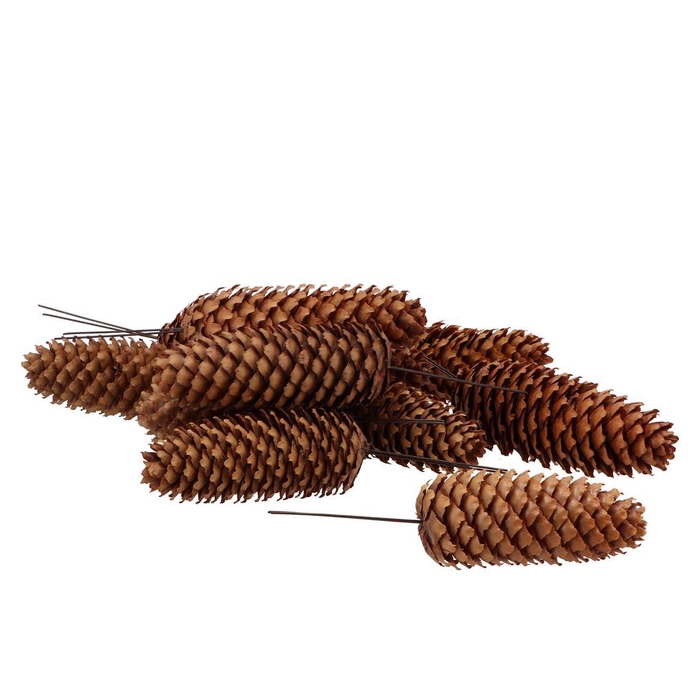 <h4>Pick Nature Fine Spar On Wire P/50</h4>