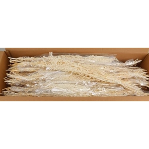 PF Amaranthus Hang Bleach Bs