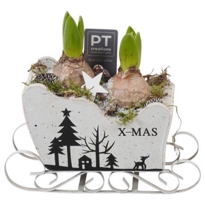 Opm Pt PTWH7756 Winter Hout Slee