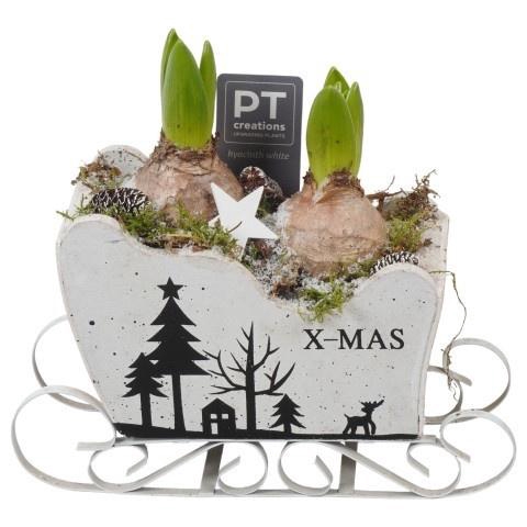 <h4>Opm Pt PTWH7756 Winter Hout Slee</h4>