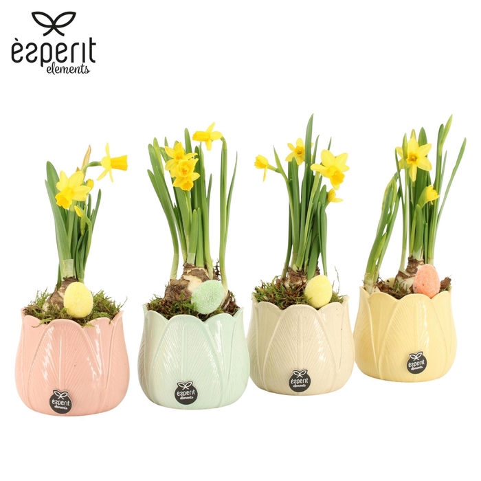 <h4>70844: Easter arrangement</h4>