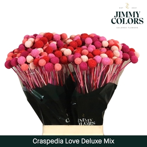 Craspedia L70 Love Deluxe mix
