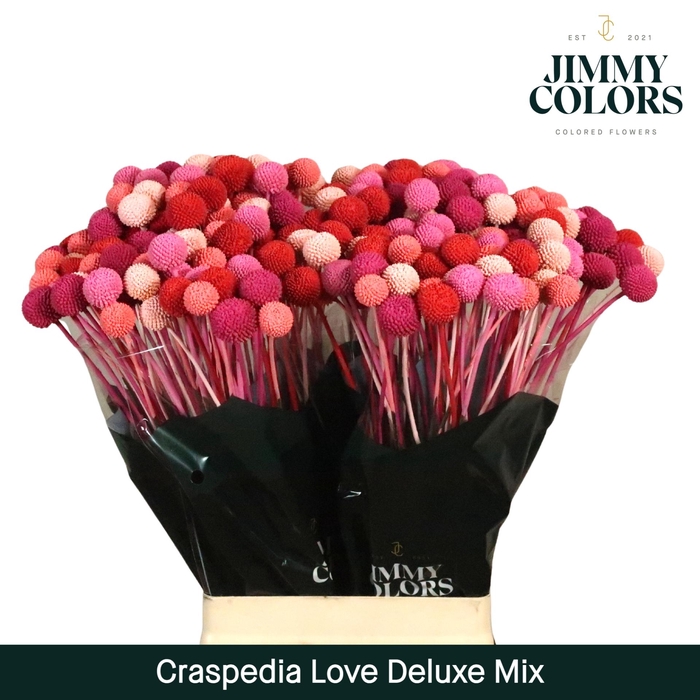 <h4>Craspedia L70 Love Deluxe mix</h4>