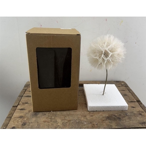 Pres Puste Bloemen X1 Display Doos