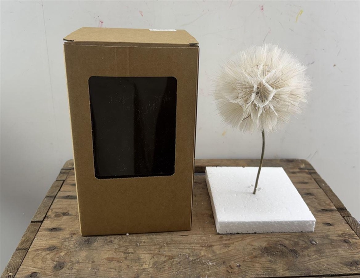 <h4>Pres Puste Bloemen X1 Display Doos</h4>