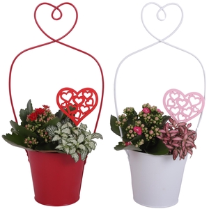 Valentine Arr. Indoor Metal Framepot + Heart Ø17cm 2PP